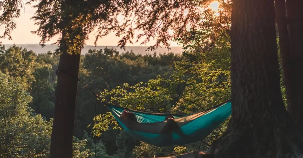 Serene scene of a person relaxing in a hammock amidst a sunlit forest, capturing tranquility.
